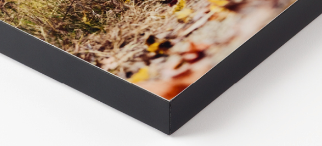 Lightweight Single Weight Matboard, Mount Photos